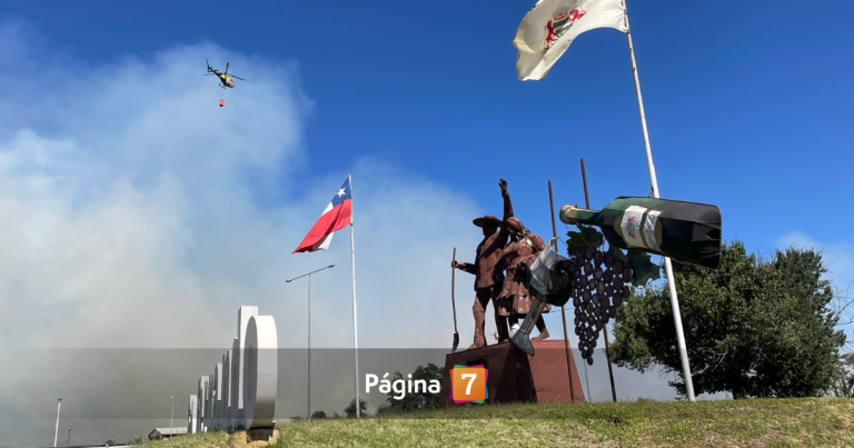 Declaran alerta roja en San Fernando por incendio forestal en cercanías de la Ruta 5 Sur