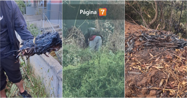 VIDEO | Detienen a sujeto que habría intentado iniciar incendio en Penco