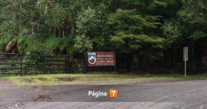 Detienen a dos hombres por realizar fogata en Parque Nacional Alerce Andino: está prohibido.