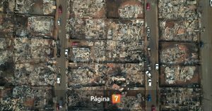 Detienen a sujeto de iniciar foco de incendio en Punta de Parra