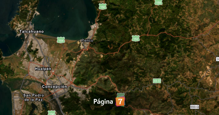 Imágenes satelitales evidencian el devastador antes y después tras los incendios en el Biobío