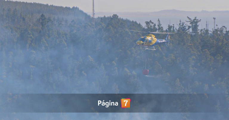 Declaran Alerta Roja en Angol por incendio forestal que sigue en combate