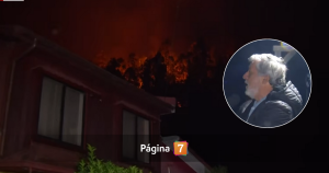 Incendio forestal se acerca a Tomé: vecinos están preocupados por fuego a metros de viviendas.