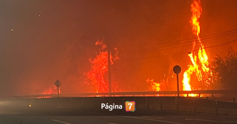 Decretan Estado de Catástrofe en las regiones de Ñuble y Biobío ante incendios descontrolados