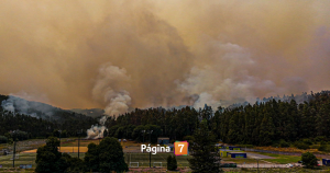 Columna de humo por incendios en Biobío y Ñuble: ¿cómo protegerse frente a las toxinas?