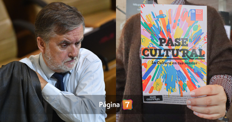 Por uso irregular de Pase Cultural: futuro ministro anunció suspensión y Gobierno pidió investigar