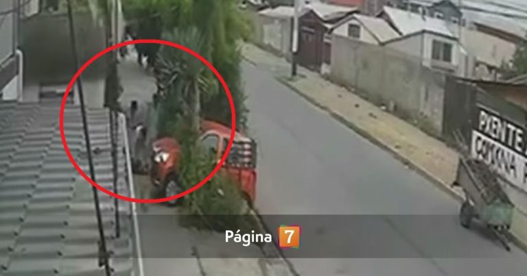 Madre e hija fueron brutalmente agredidas por vecino: sacaron aloe vera de su jardín en Puente Alto