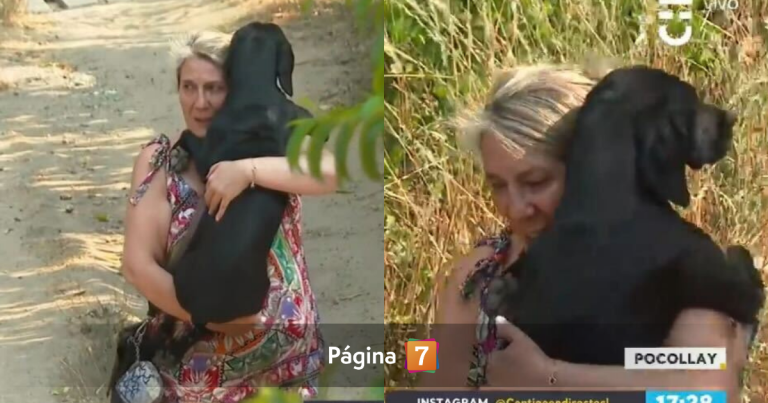 Vecina de Concepción protagonizó emocionante reencuentro con su perro tras evacuación por incendios