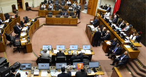 Ley de Eutanasia: ¿por qué en Senado no votó proyecto pese a su urgencia?