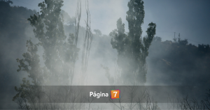 Senapred llamó a evacuar sector de Panitao Bajo en Puerto Montt por incendio forestal