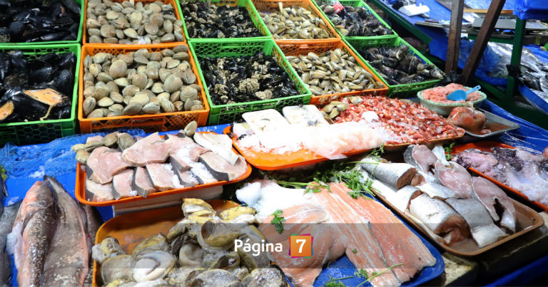 Detectan 'toxina amnésica' en mariscos ante marea roja en Tongoy: puede provocar daños neurológicos