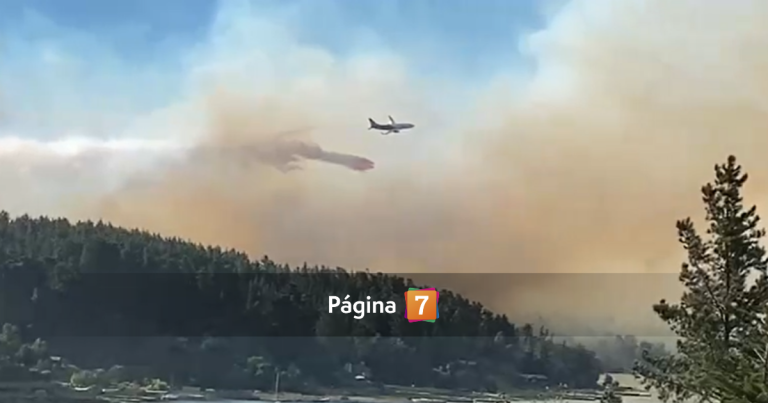 Fuego fuera de control en el Maule: decretan Alerta Roja en Vichuquén por incendio de gran magnitud