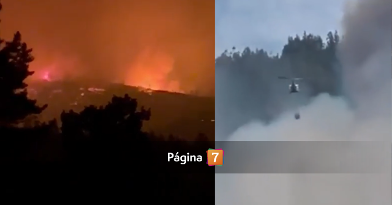 Tres casas dañadas y un combatiente lesionado tras violento incendio forestal en Vichuquén