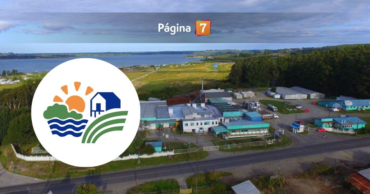 www.pagina7.cl