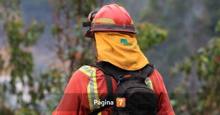CONAF Maule desvinculó a dos brigadistas: fueron captados jugando con brasas