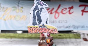 Corte de Antofagasta confirmó rechazo de proyecto minero Dominga: ¿cuál fue la razón?