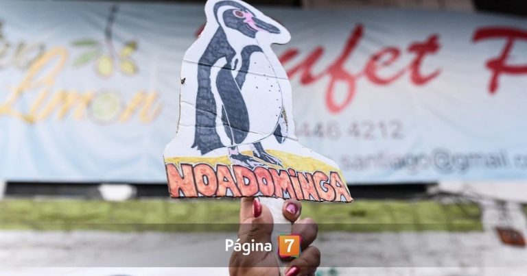 Corte de Antofagasta confirmó rechazo de proyecto minero Dominga: ¿cuál fue la razón?