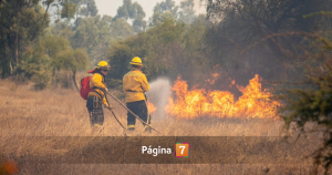 Declaran Alerta Roja por incendio en San Nicolás: Senapred activó mensajería SAE y solicita evacuar.
