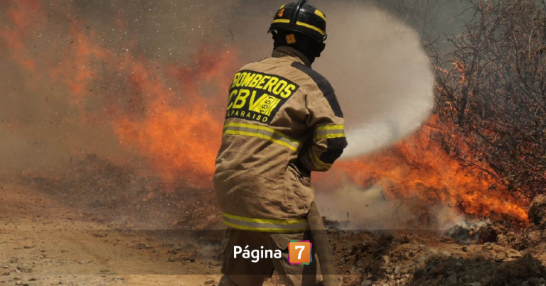 Declaran Alerta Roja en Rapa Nui por incendio forestal que amenaza viviendas