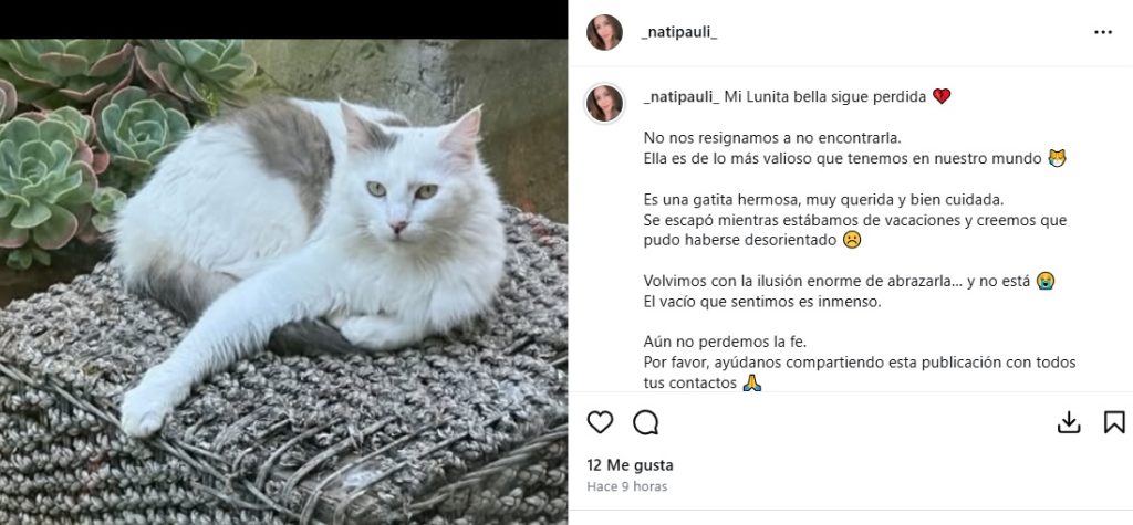 Nietas de María Ercira enfrentan nuevo extravío en la familia