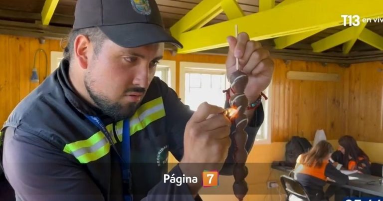 Someten a cuestionadas frutillas con 