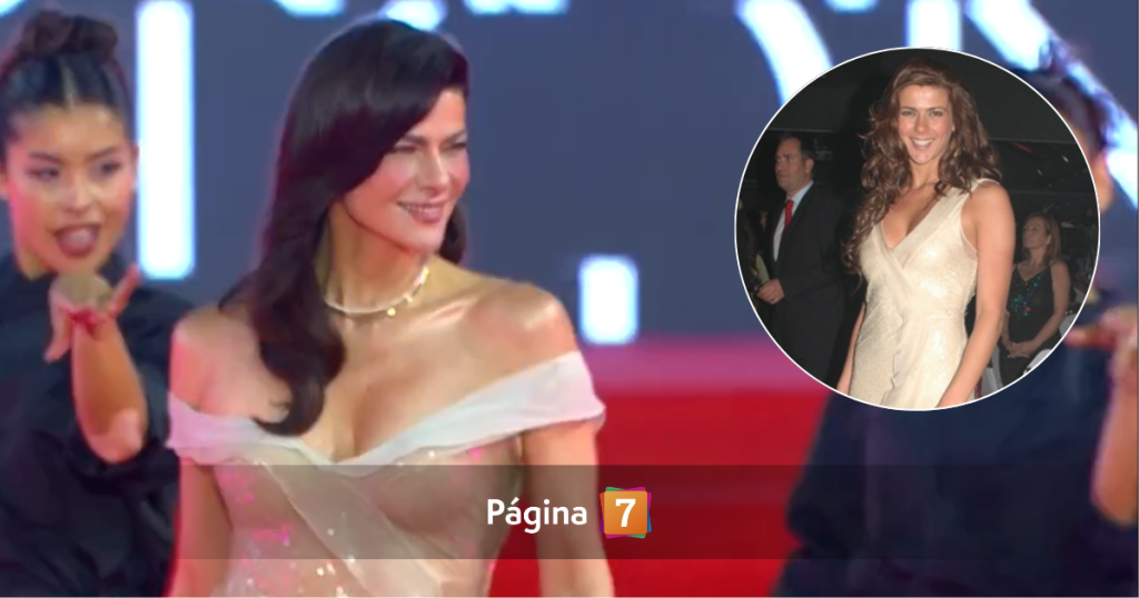 Tonka Tomicic modificó vestido que usó en 2008 para la Gala de Viña: se llenó de elogios en redes