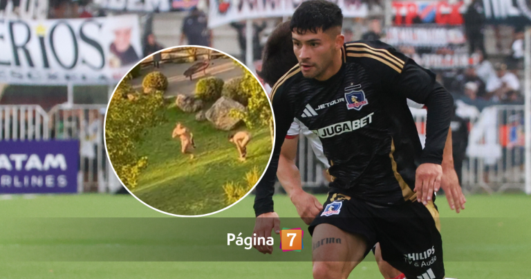 Jugador de Colo-Colo al borde de expulsión de su condominio: lo acusan de desnudos y ruidos molestos