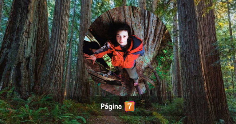 La increíble historia de Julia Hill: vivió 738 días en un árbol para salvar una secuoya milenaria