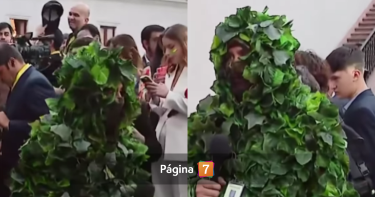 Periodista descolocó al llegar vestido de árbol a La Moneda: generó dudas en seguridad de Boric