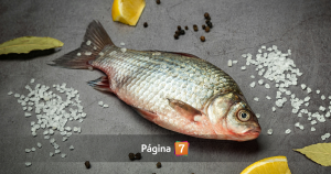 “Puede acumularse en el organismo”: experto advierte sobre peligros del mercurio en pescados