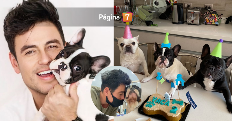 Querían dormirlo, pero no se rindió: Bruno Zaretti emocionó con milagrosa historia de Vaca, su perro