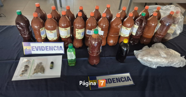 Incautan 23 botellas de ayahuasca que serían usada en ritual con más de 100 personas en Santiago