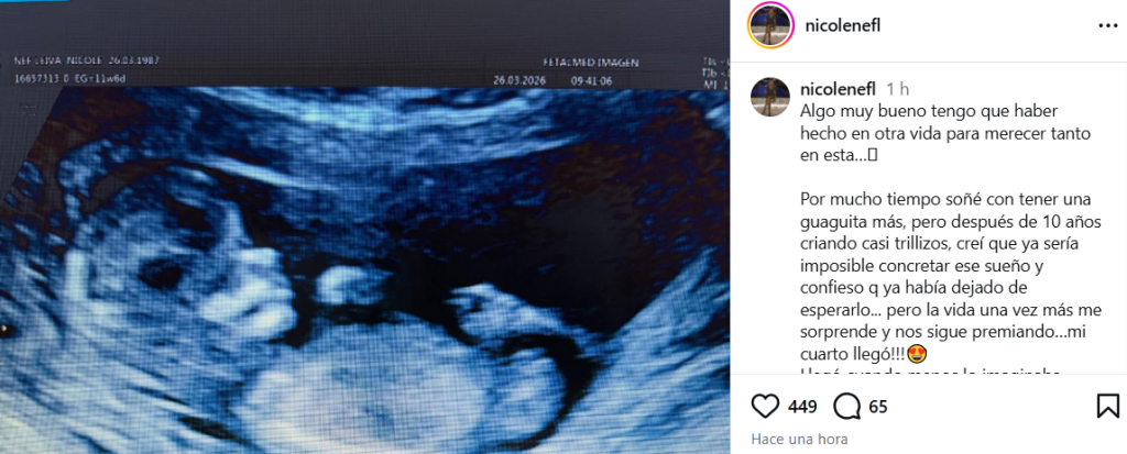 Ex Mekano, Nicole Nef, anunció que se convertirá en madre: está casada con exministro de Piñera