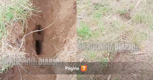 Extraño fenómeno en La Araucanía: denuncian profunda grieta en terreno rural de Padre Las Casas