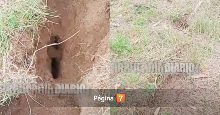 Extraño fenómeno en La Araucanía: denuncian profunda grieta en terreno rural de Padre Las Casas