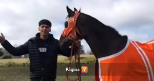 Joven murió agredido y atropellado a la salida de discoteca en Temuco