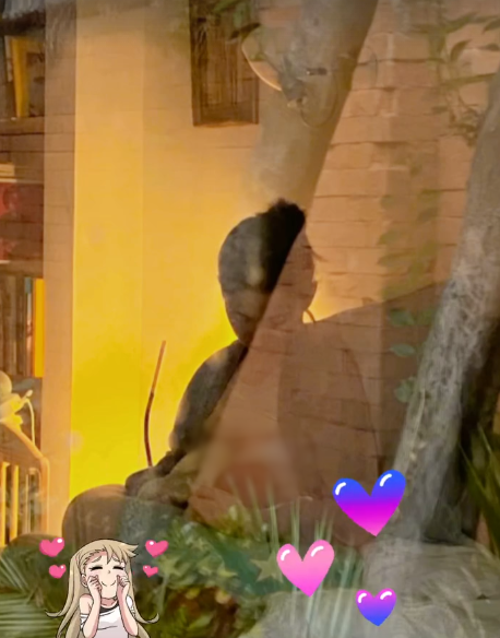 Mariana di Girolamo ya se habría convertido en madre: revelaron tierna fotografía con su bebé