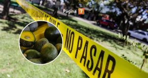 Trágico hallazgo en Quillota: investigan muerte de hombre por presunto robo de paltas