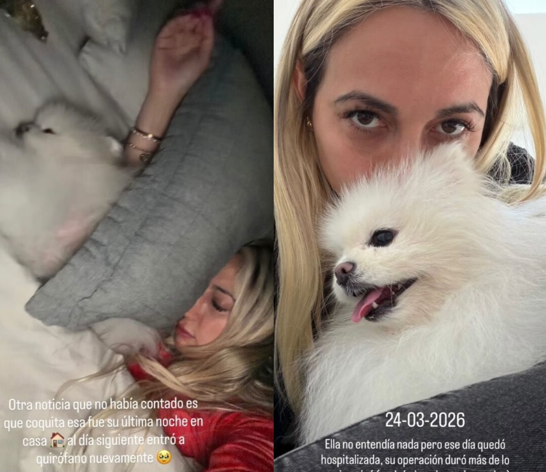 Rebeca Naranjo, pareja de Nano Calderón, y el delicado estado de salud de su perrita Coca
