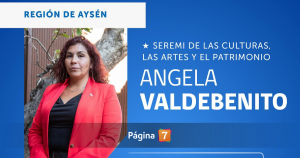 17 seremis han dejado su cargo o no asumieron: se suma renuncia de autoridad de Culturas en Aysén