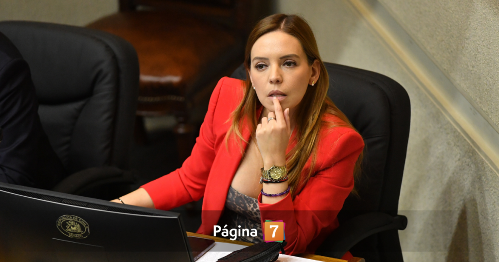 Fiscal a Investiga A Camila Flores Por Fraude Al Fisco De 300 Millones 