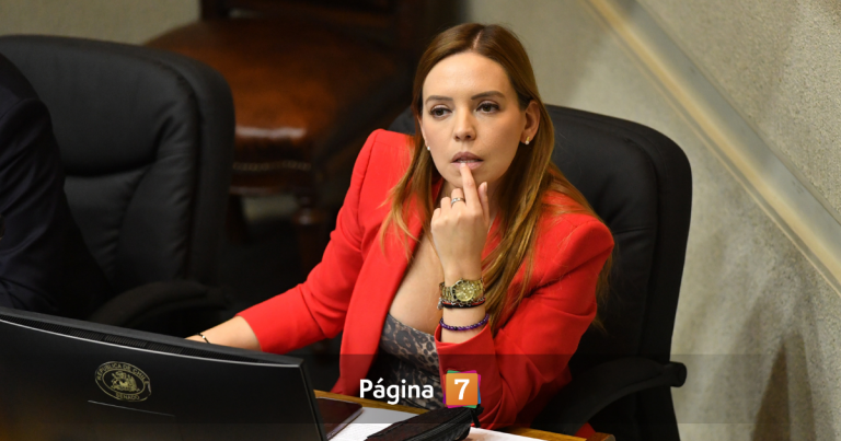 Fiscalía investiga a Camila Flores por fraude al fisco de $300 millones: acusan cobros a asesores