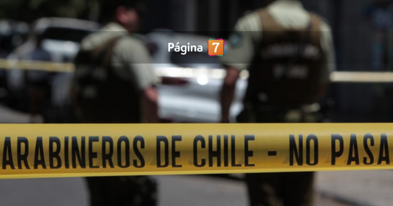 Carabinero mató a asaltante en plena micro en La Granja: hay un pasajero lesionado