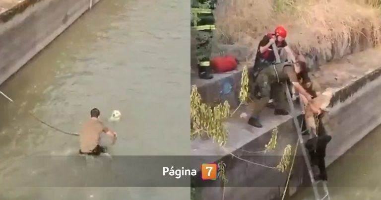 Angustiante rescate en La Reina: perro atrapado por el Canal San Carlos fue salvado por carabinero