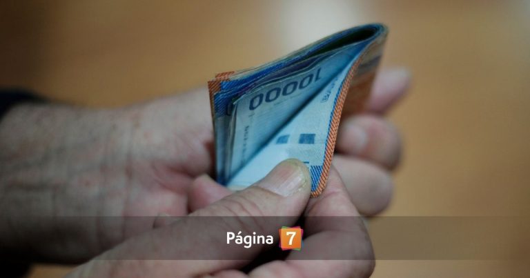 ¿Qué es el Subsidio Unificado al Empleo? Revisa cómo funciona y a quién le corresponde este aporte