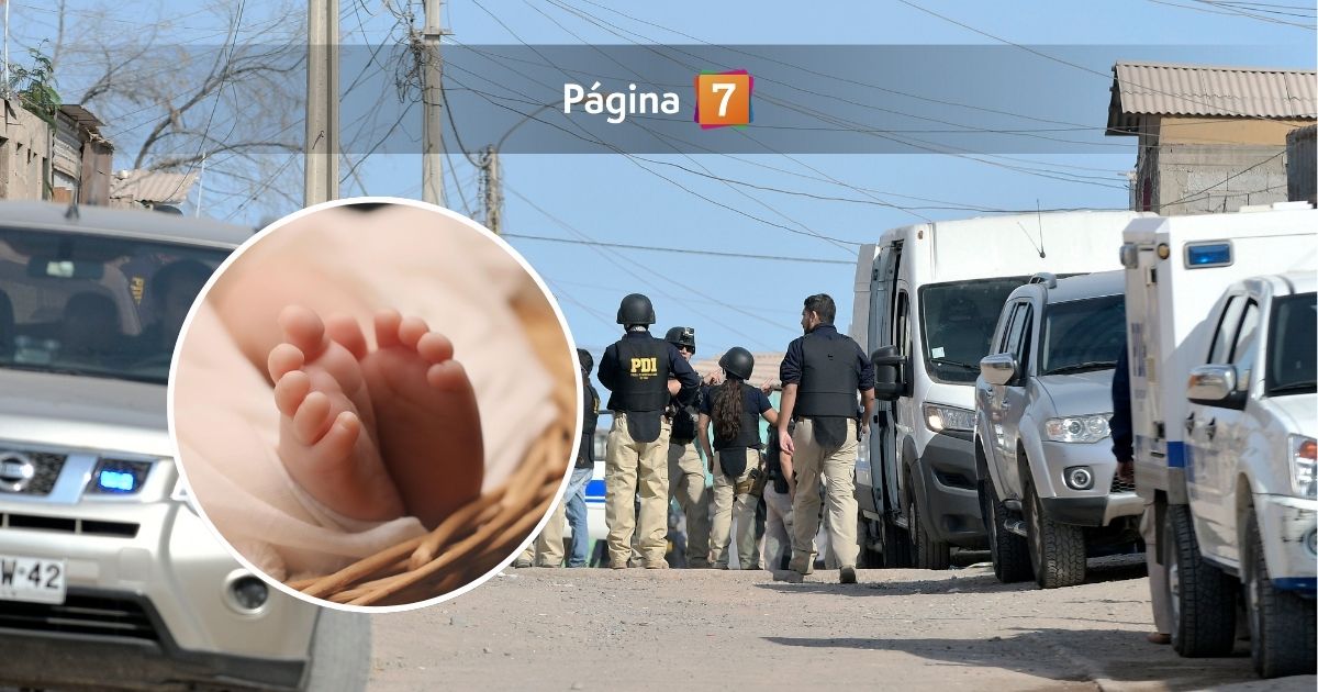 www.pagina7.cl