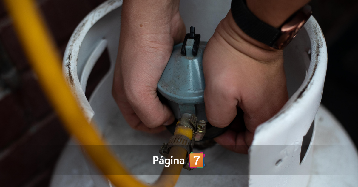 www.pagina7.cl