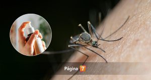 Experto advierte que algunos repelentes de insectos no funcionan: “No han demostrado eficacia”