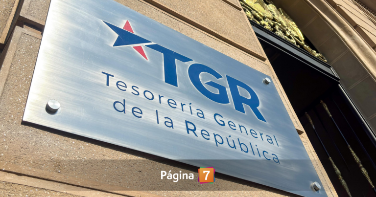 Revelan que 33 funcionarios públicos tienen deudas con el Fondo Solidario: ganan más de $10 millones