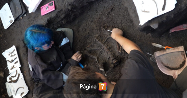Hallazgo en Tagua Tagua: encuentran tres cuerpos humanos de hasta 5.000 años bien conservados